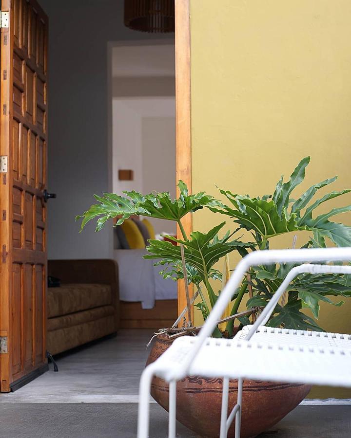 Casa Cafeologo Hotell San Cristóbal de Las Casas Exteriör bild