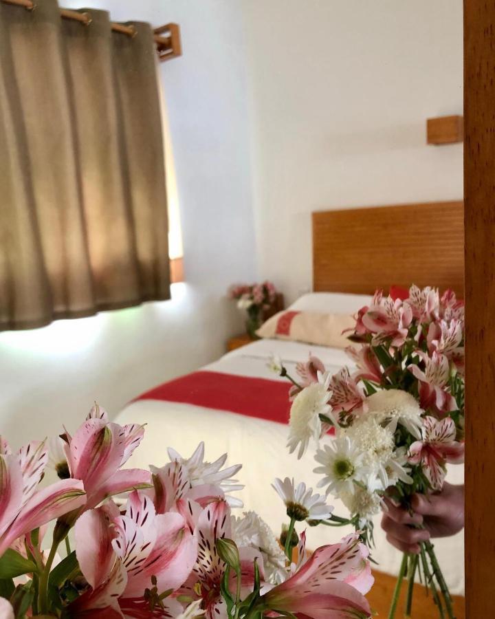 Casa Cafeologo Hotell San Cristóbal de Las Casas Exteriör bild